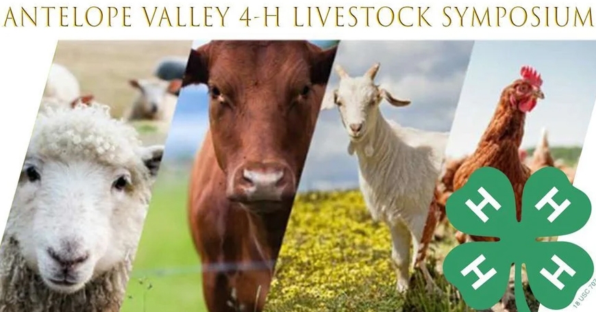 Livestock Symposium