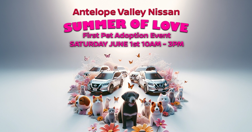 Summer of Love: Pet Adoption Event