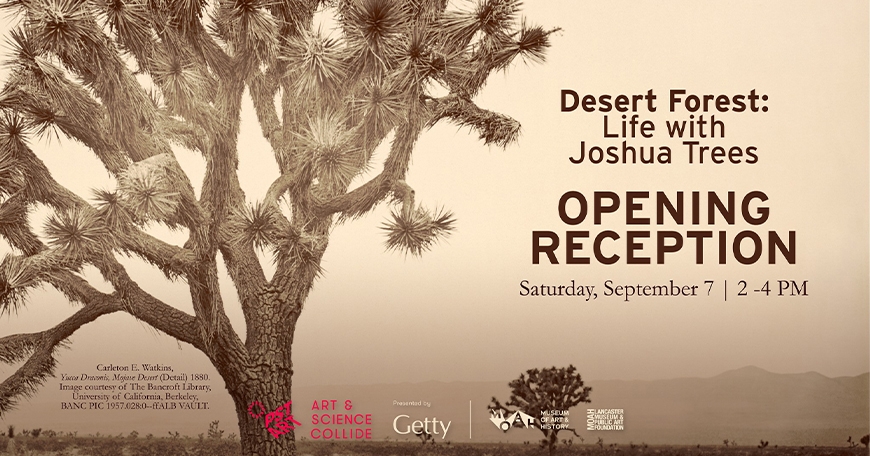 Desert Forest Opening Reception