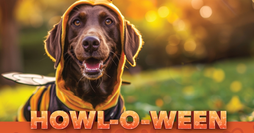 Howl-o-Ween Dog Costume Contest