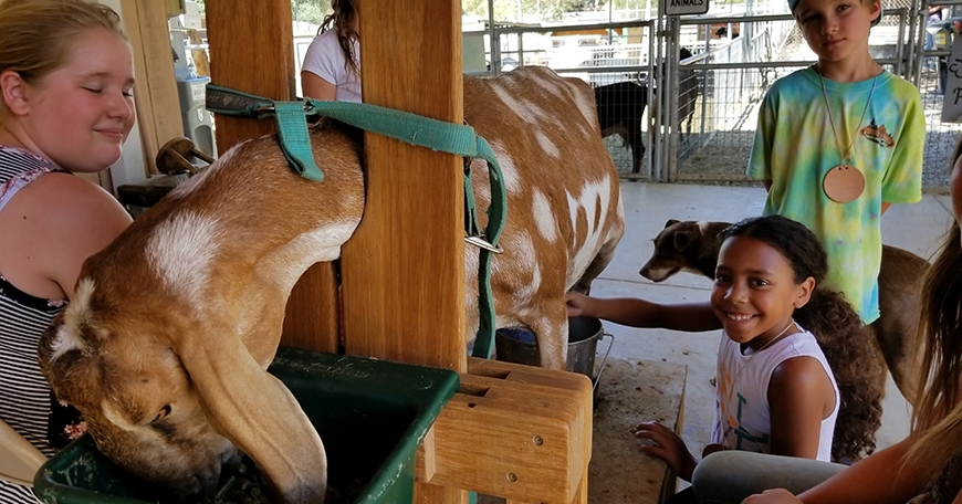 Farm Visits