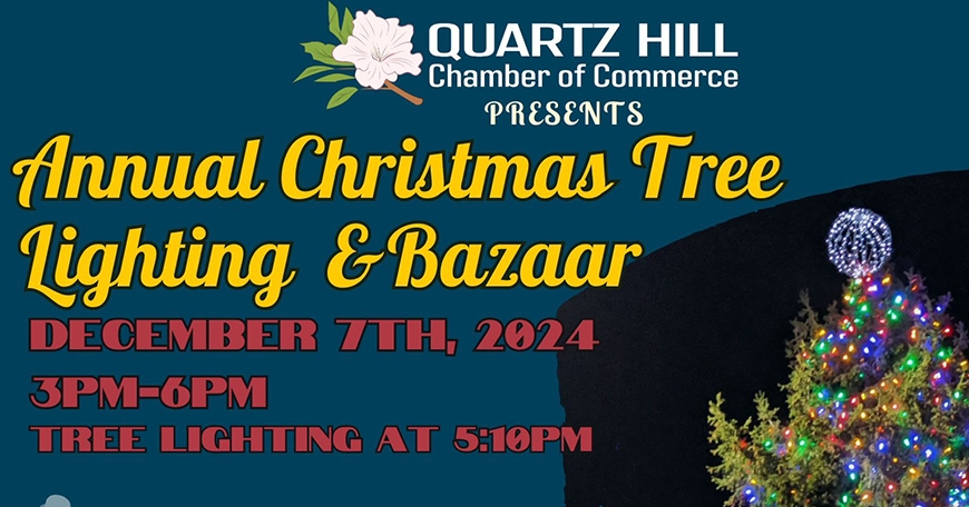 Annual Christmas Tree Lighting & Bazaar