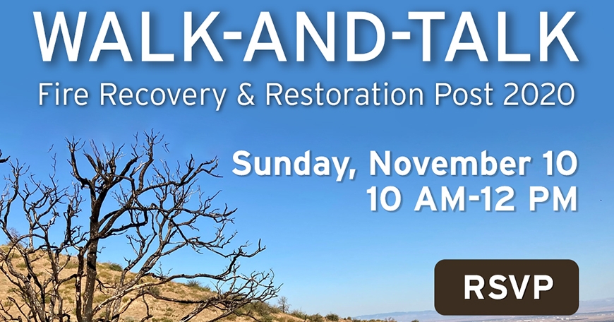 Fire Recovery Walk-and-Talk