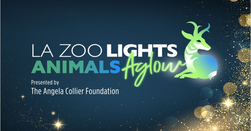 LA Zoo Lights